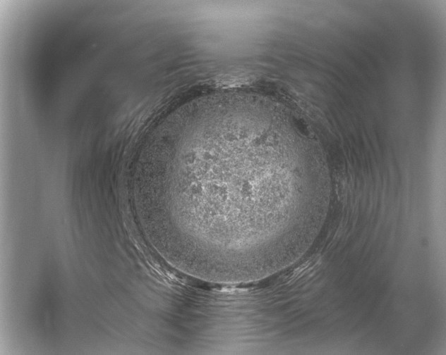 X0000063451393200601231340