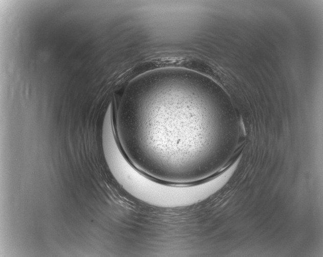 X0000063451394200601231340