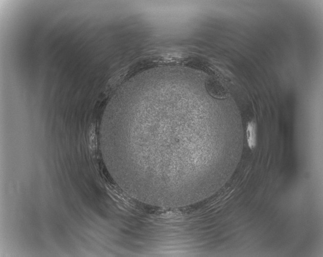 X0000063451395200601231340