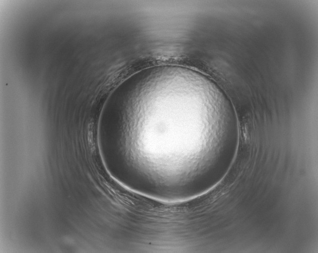 X0000063451396200601231340