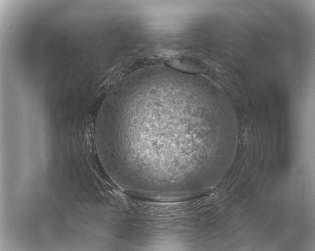 X0000063451397200601231340