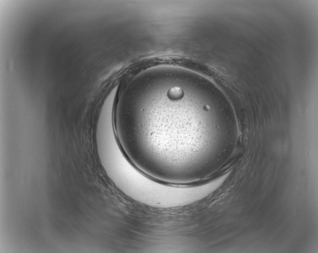 X0000063451398200601231340