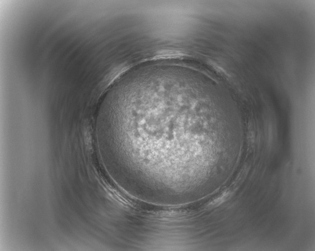 X0000063451401200601231340