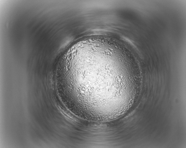 X0000063451403200601231340