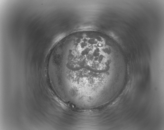 X0000063451405200601231340