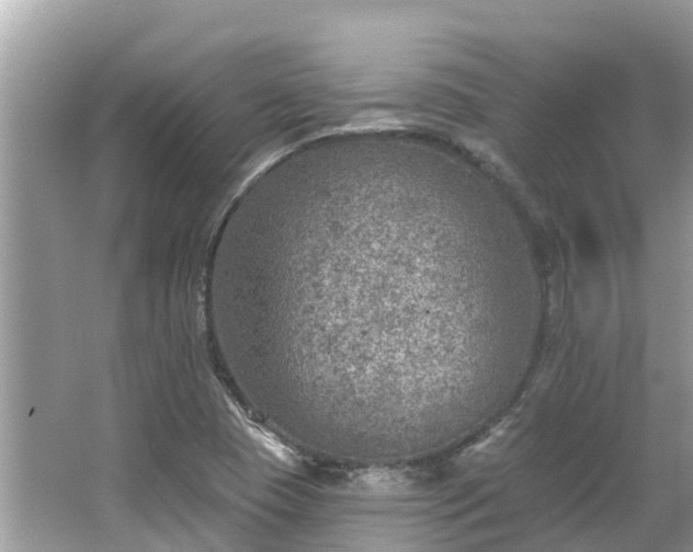 X0000063451409200601231340