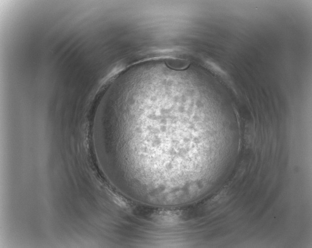 X0000063451411200601231340