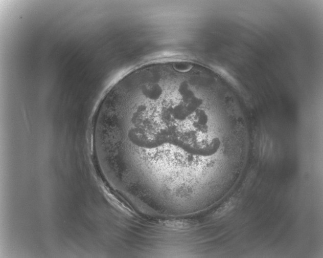 X0000063451413200601231340