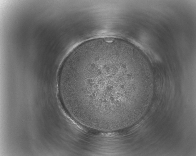 X0000063451415200601231340