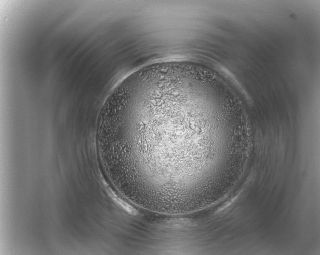 X0000063451417200601231340