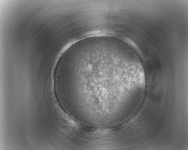 X0000063451419200601231340