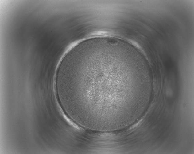 X0000063451421200601231340