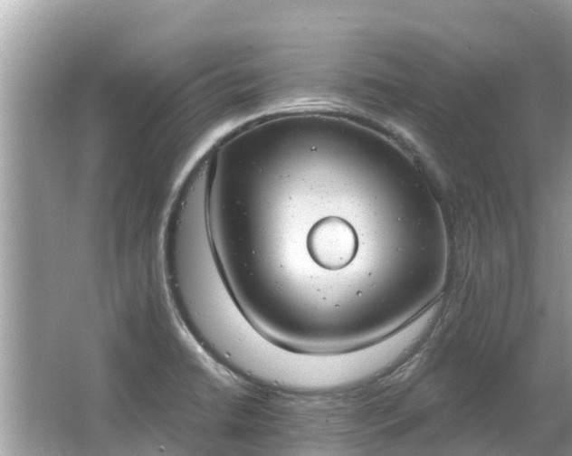 X0000063451422200601231340