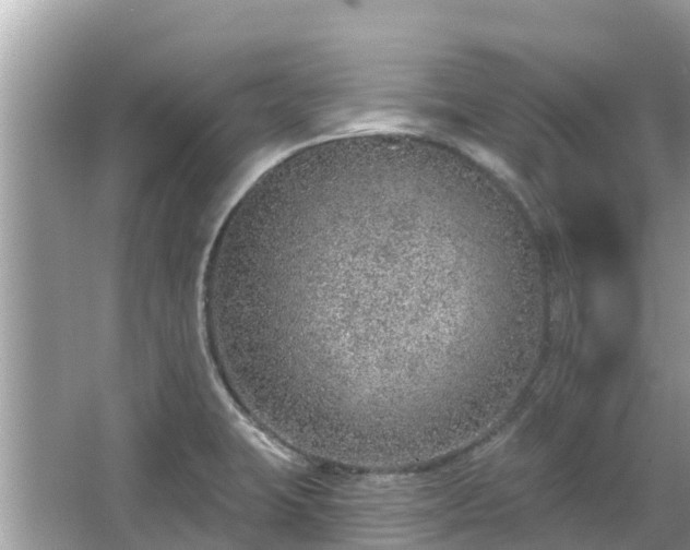 X0000063451423200601231340