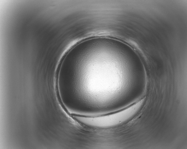 X0000063451424200601231340