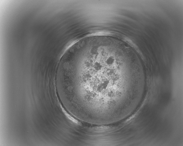 X0000063451425200601231340