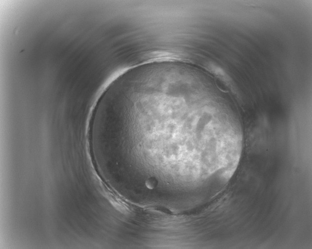 X0000063451427200601231340