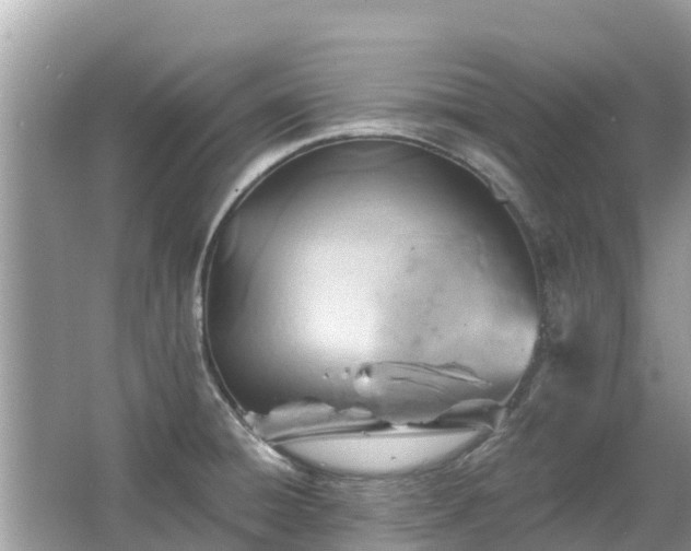 X0000063451428200601231340