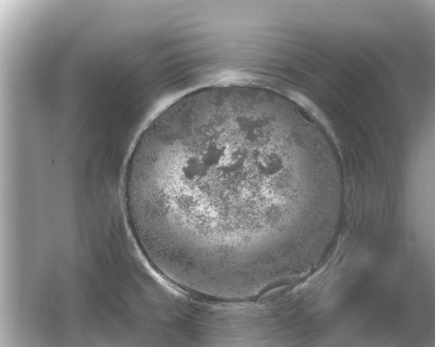 X0000063451429200601231340