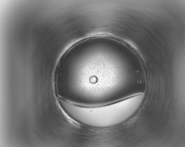 X0000063451430200601231340