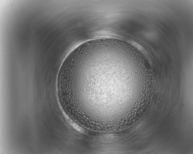 X0000063451431200601231340