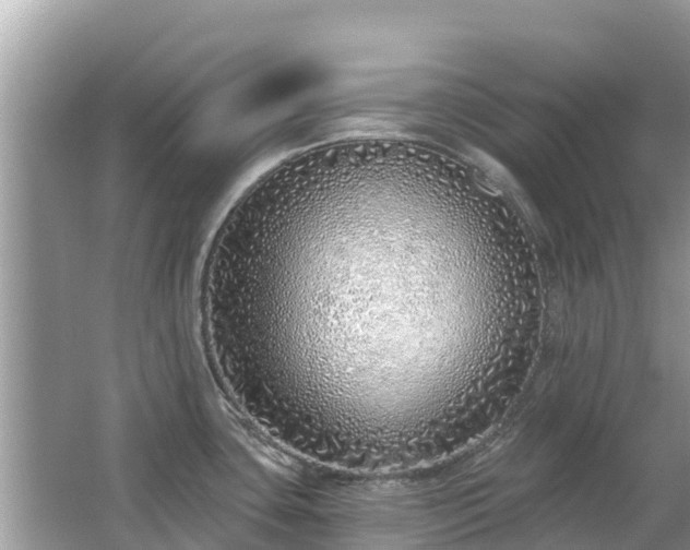 X0000063451435200601231340