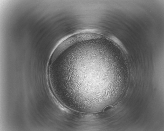 X0000063451436200601231340