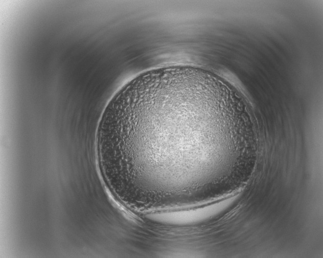 X0000063451439200601231340