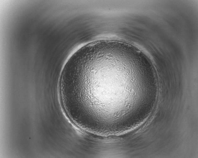 X0000063451440200601231340