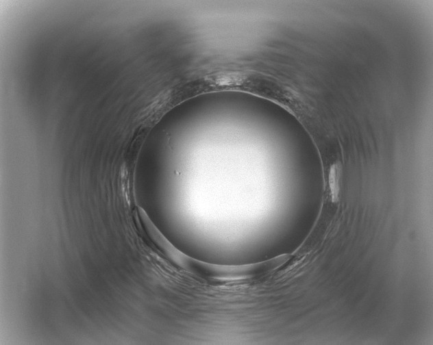 X0000063451443200601231339