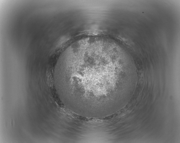 X0000063451446200601231339