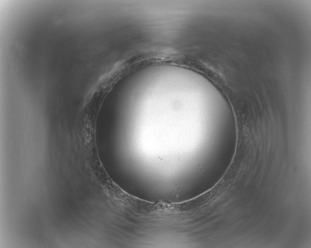 X0000063451447200601231339