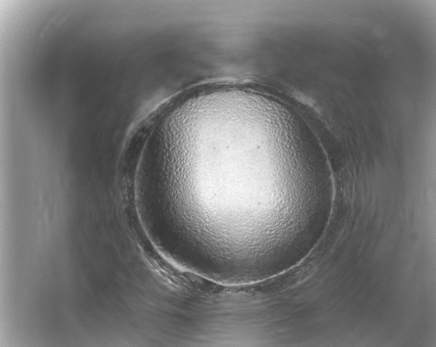 X0000063451448200601231339