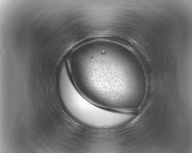 X0000063451449200601231339