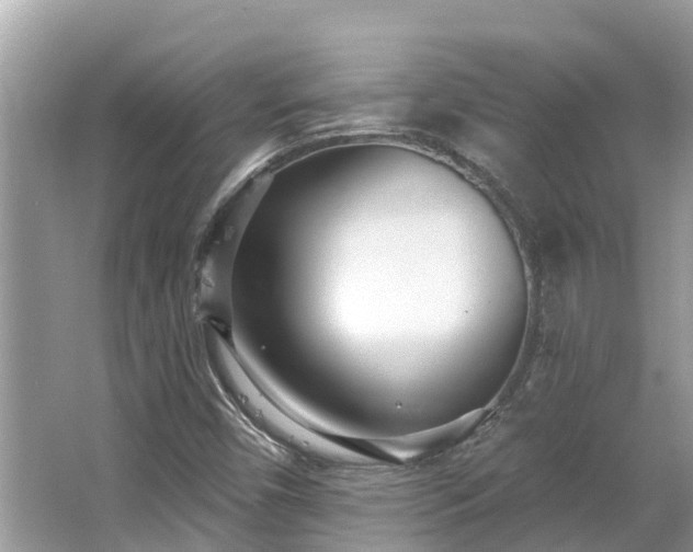 X0000063451450200601231339