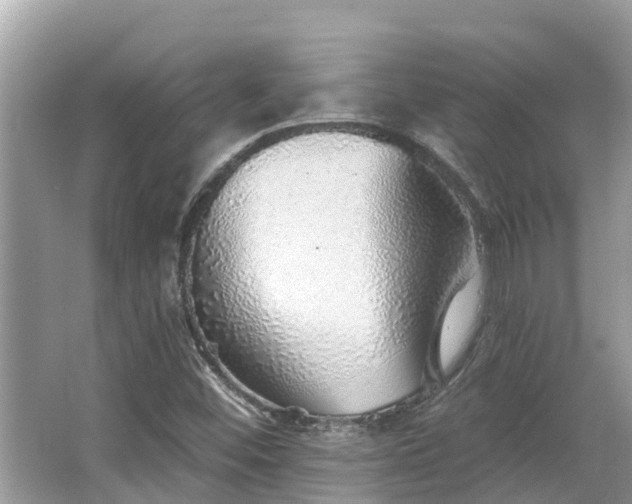 X0000063451452200601231339