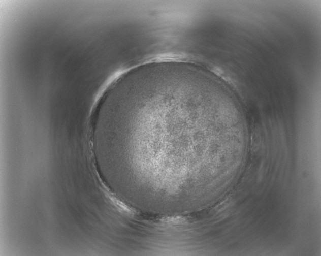 X0000063451454200601231339