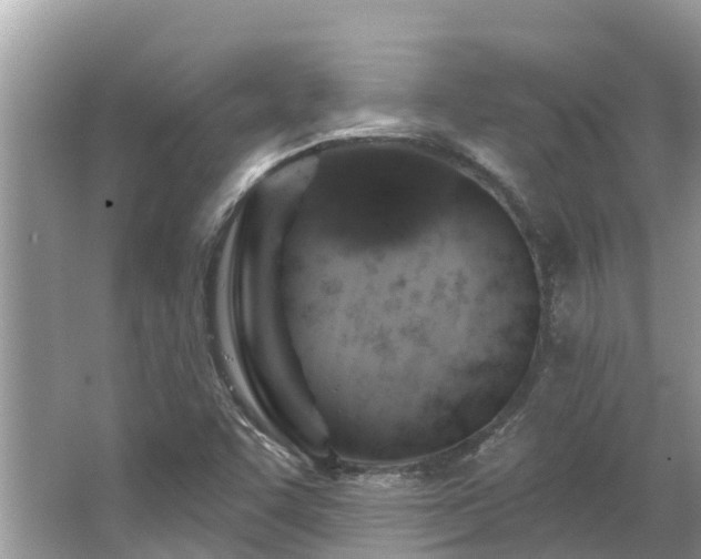 X0000063451455200601231339