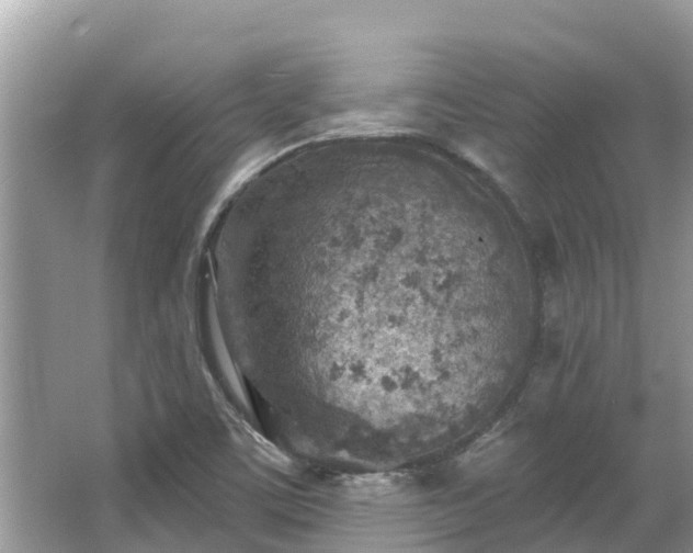 X0000063451459200601231339