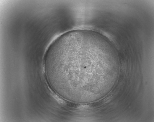 X0000063451462200601231339