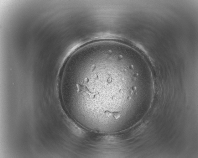 X0000063451463200601231339