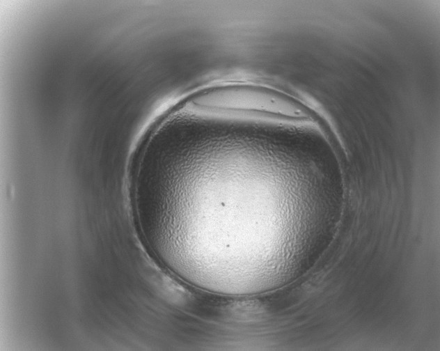 X0000063451464200601231339