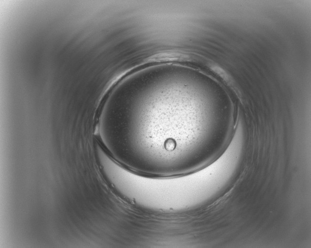 X0000063451465200601231339