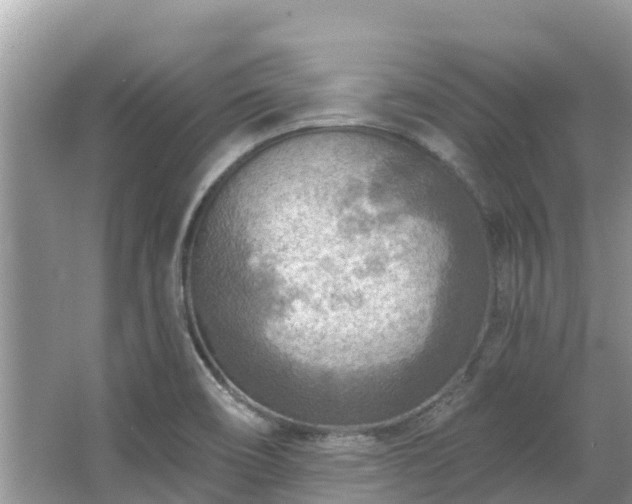 X0000063451466200601231339