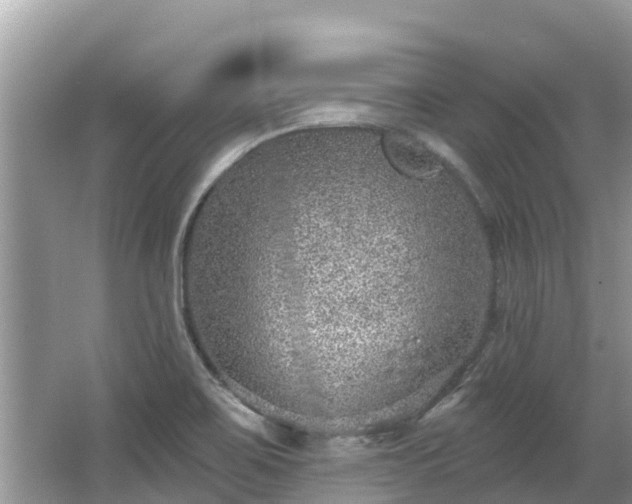 X0000063451467200601231339