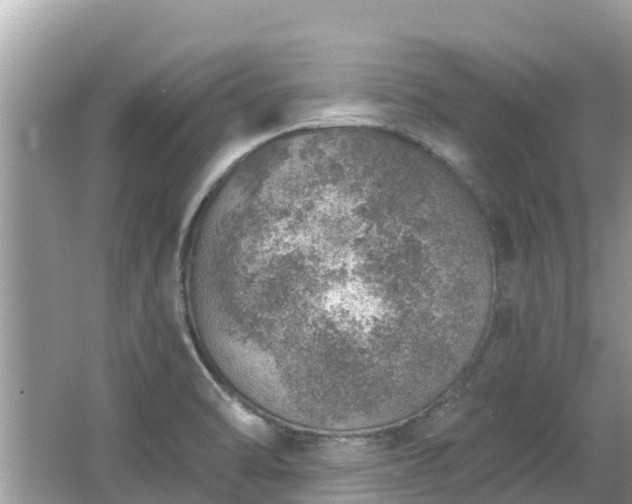 X0000063451470200601231339