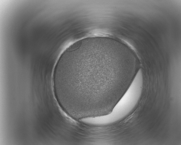 X0000063451471200601231339