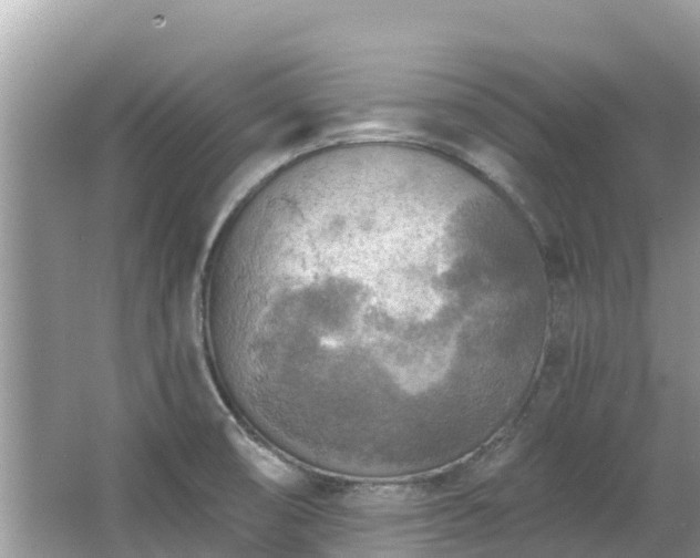 X0000063451474200601231339