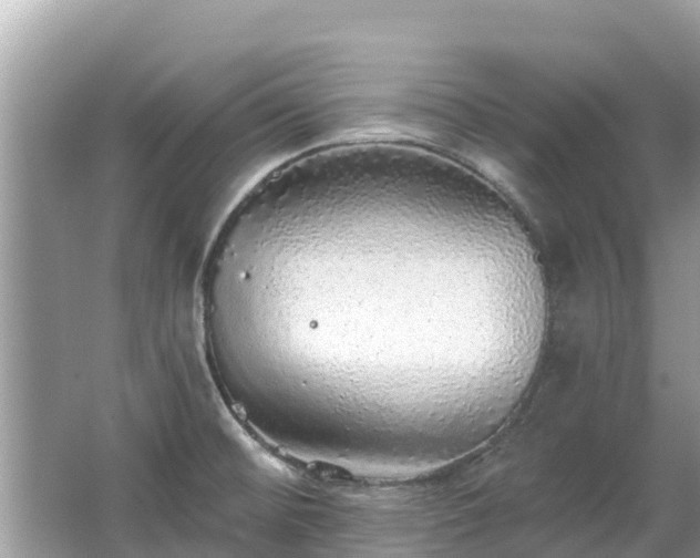 X0000063451476200601231339