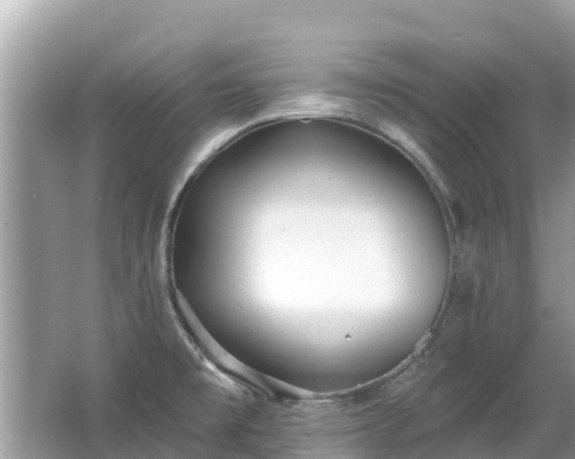 X0000063451477200601231339